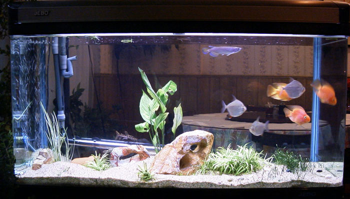 60gal-may12-1