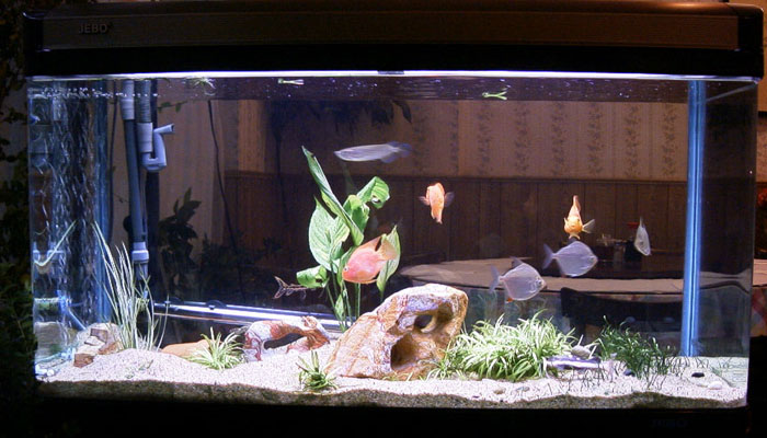60gal-may12-2