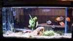 60gal-may12-1