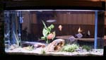 60gal-may12-2