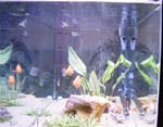 60gal-may12-side