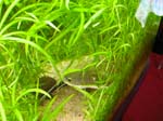 DSCN0474