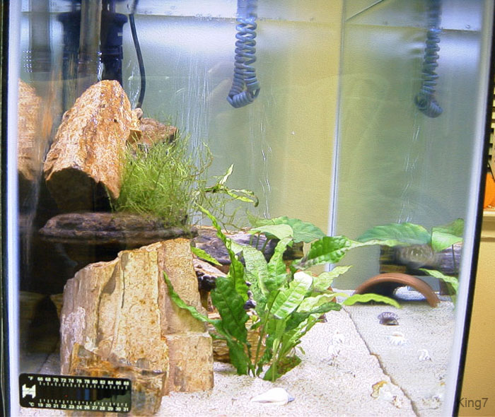 20gal-may12-side