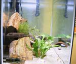 20gal-may12-side