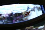 IMG_5727