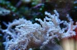IMG_4862