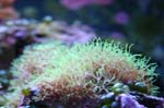 IMG_4942