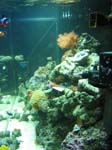 IMG_1952