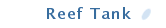 Reef Tank